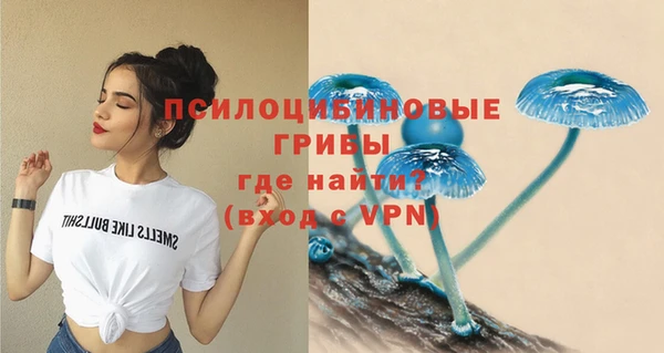шишки Алексин