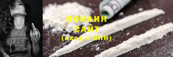 шишки Алексин