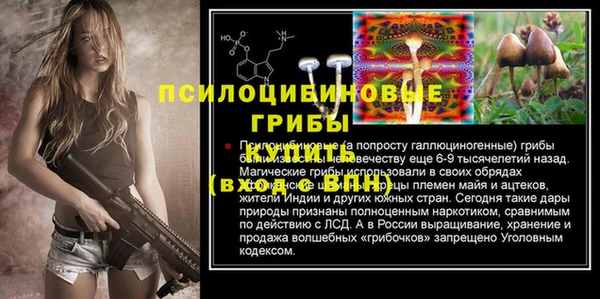 PSILOCYBIN Алексеевка