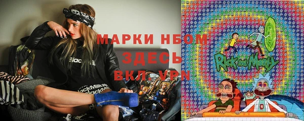 шишки Алексин