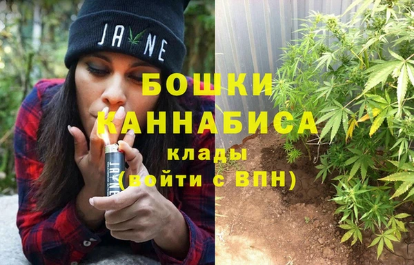 PSILOCYBIN Алексеевка