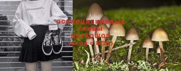 шишки Алексин